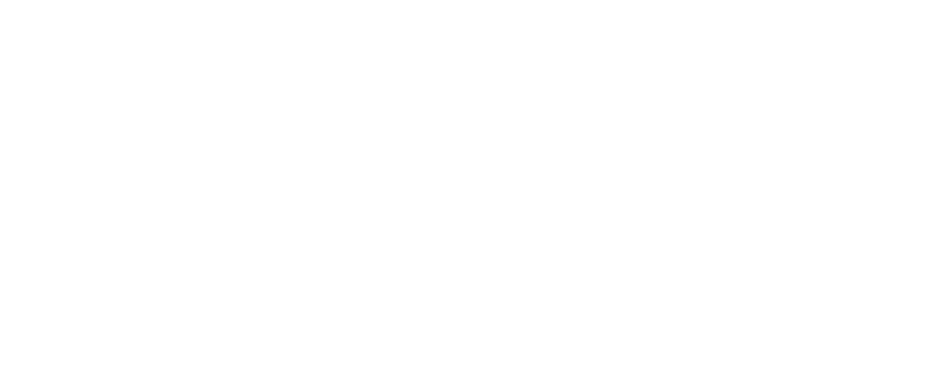 Netizen Experience